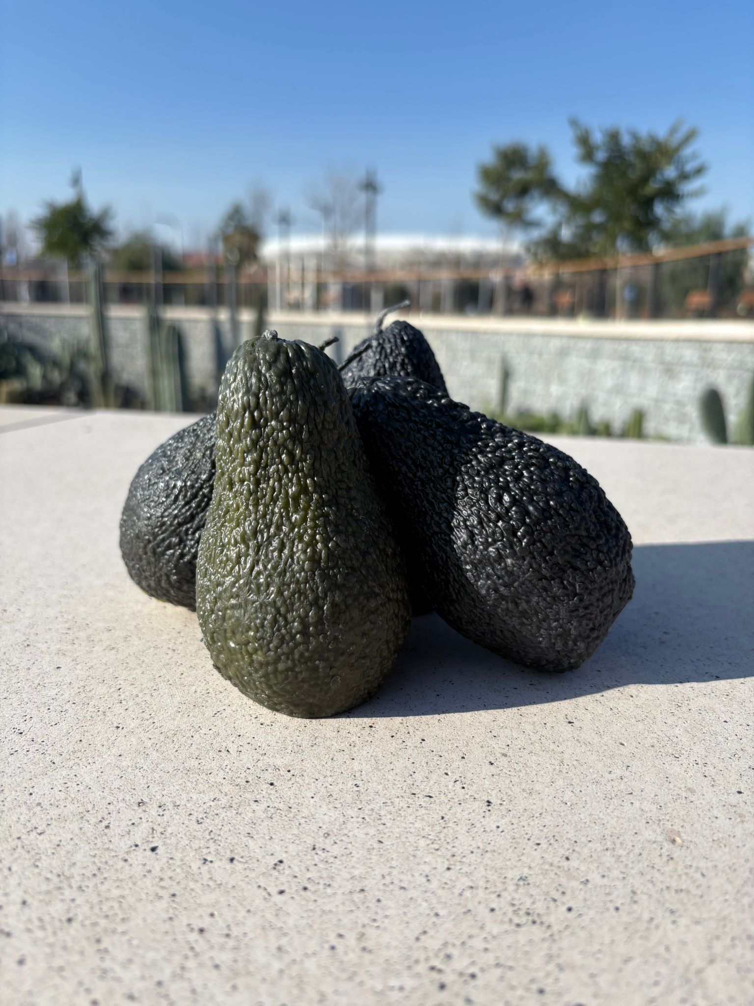 Vela Aguacate
