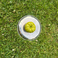 Tomate S