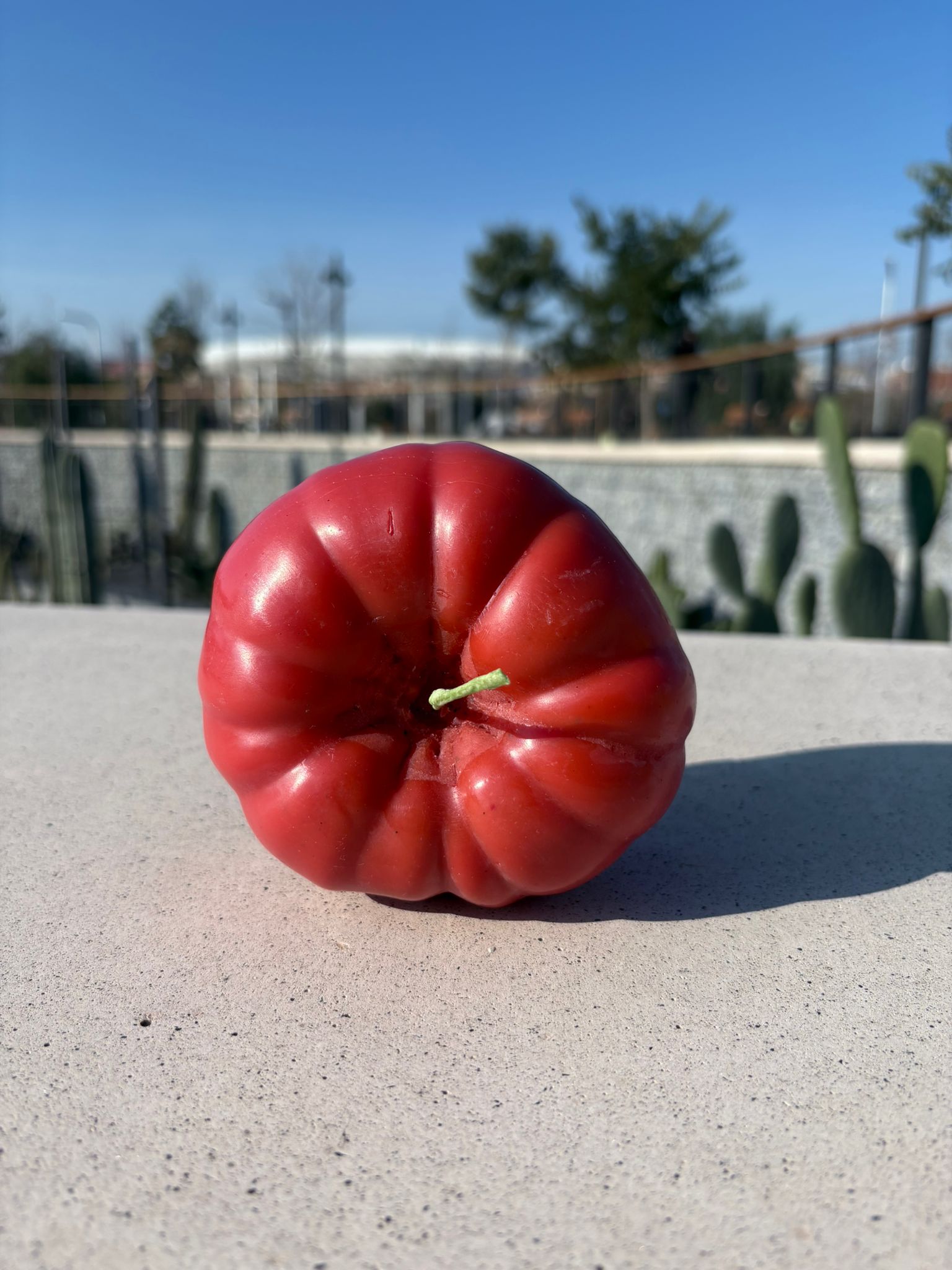 Vela Tomate XL