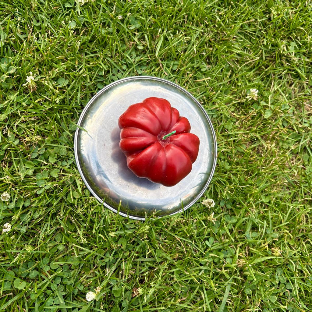 Tomate L